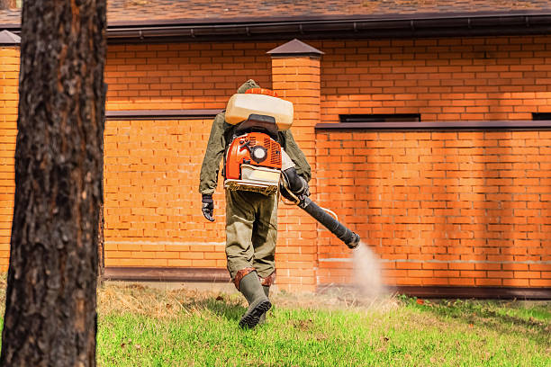 Trusted Cockroach Control service in Pawnee, OK - Nex Pest Control